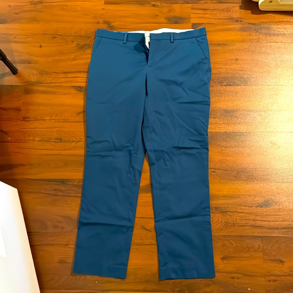 Express Dress Pants